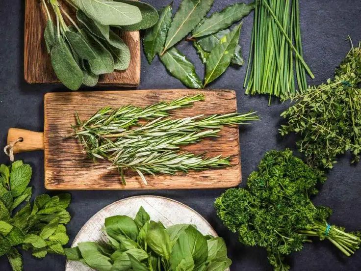 fresh herbs are laid out on a cutting board