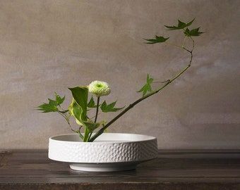 a plant in a white vase on a table