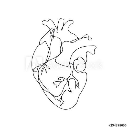 the human heart is drawn in continuous lines on a white background, black and white