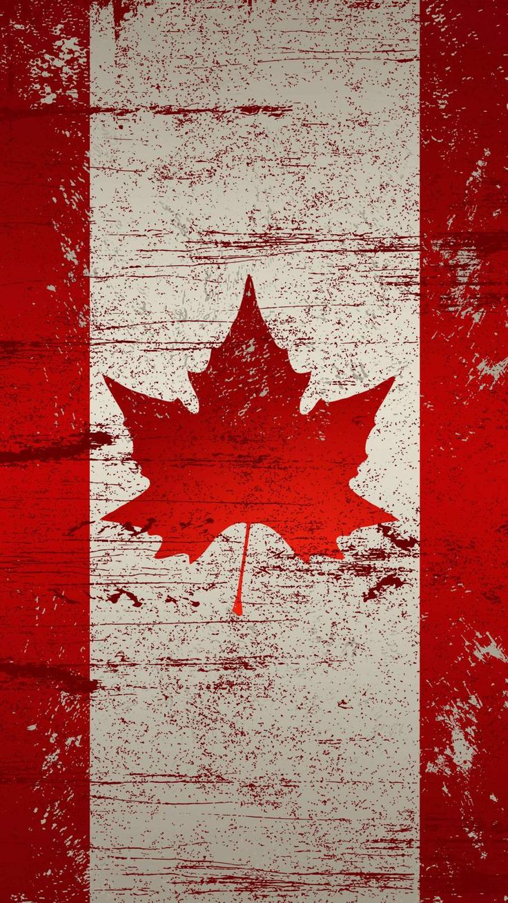 the canadian flag with a maple leaf painted on it's side in red and white