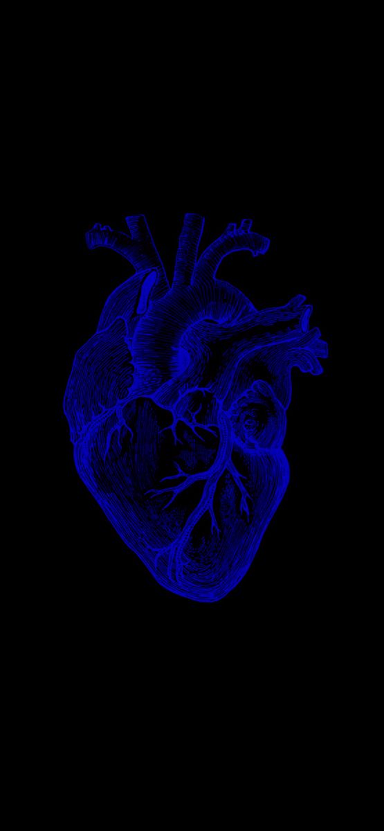 an image of a human heart in the dark blue light on a black background with space for text