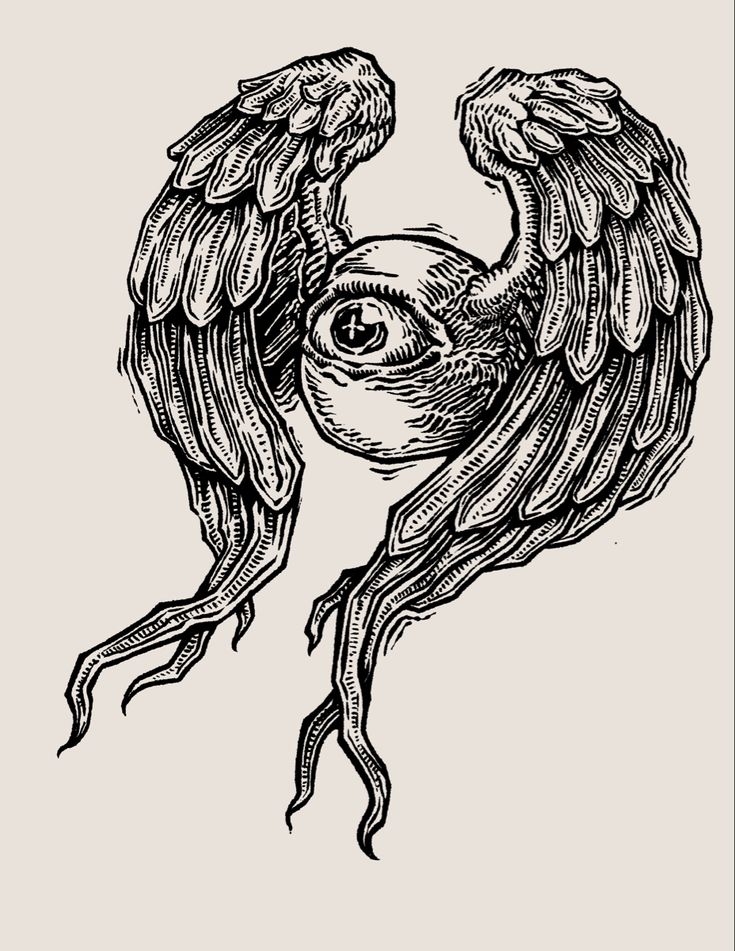 an ink drawing of an owl with wings on it's back and eyes open