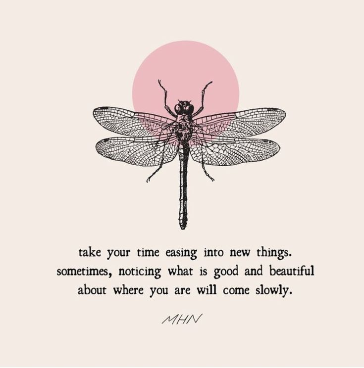 a dragonfly sitting on top of a pink circle with the words, take your time passing