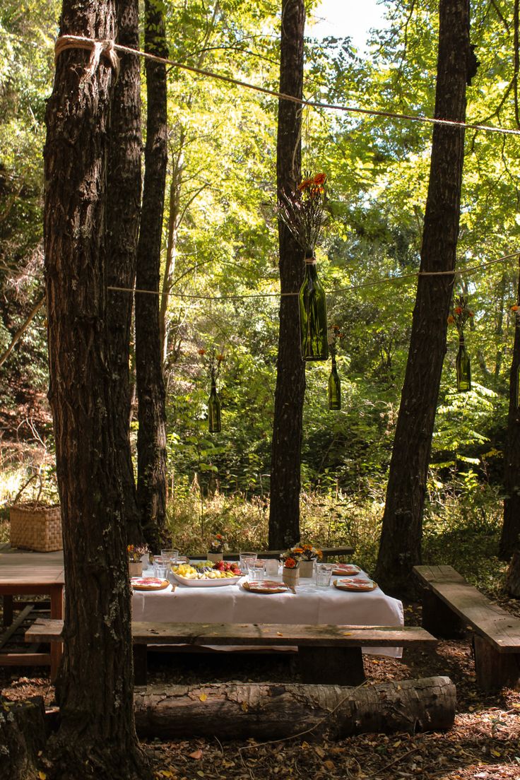 a picnic table is set up in the woods for two people to enjoy their meal