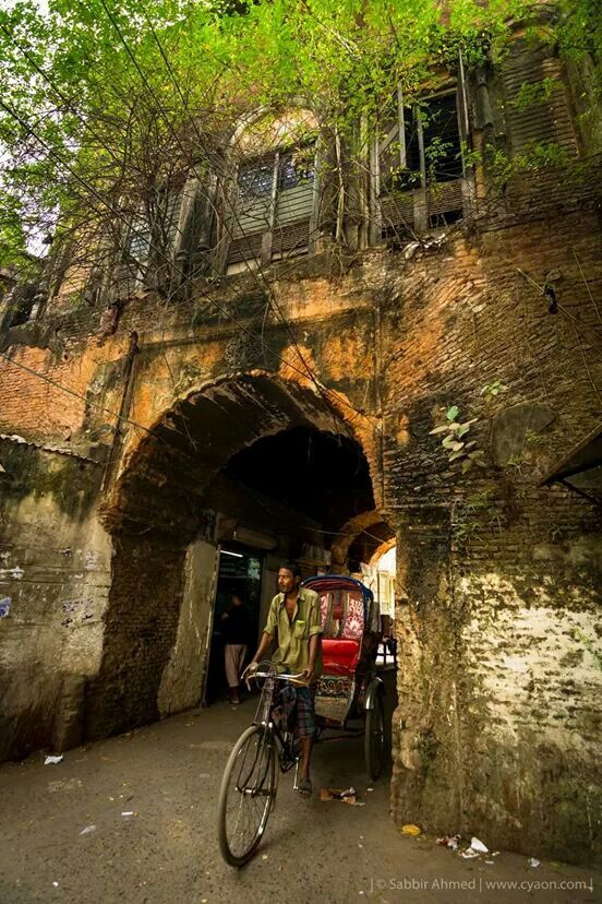 a person riding a bike in front of an old building with trees growing over it