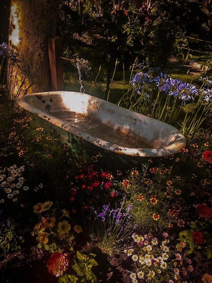 an old bathtub sitting in the middle of some wildflowers and trees with flowers around it