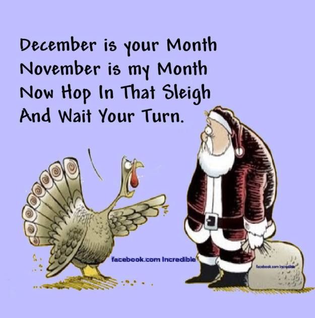 a cartoon santa claus and a turkey with the caption december is your month november is my month now hop in that sleigh and wait your turn