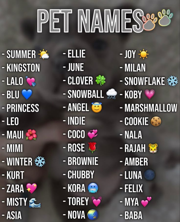 a poster with the names of pet names