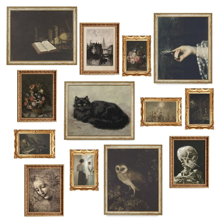 a collection of framed pictures with cats and skulls on them, including an owl in the foreground