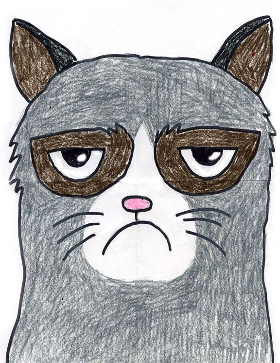 a drawing of a grumpy cat with big eyes