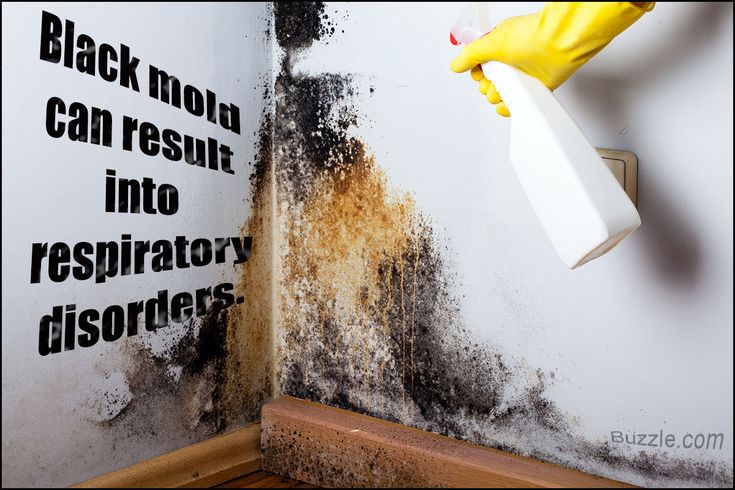 moldy walls and black moulds on the wall in a room with yellow gloves