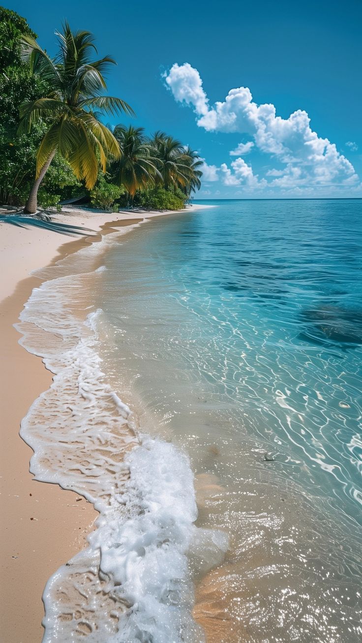 an ocean beach with palm trees in the background