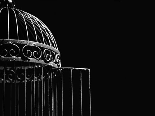 a black and white photo of a birdcage with the top half open, in front of a dark background