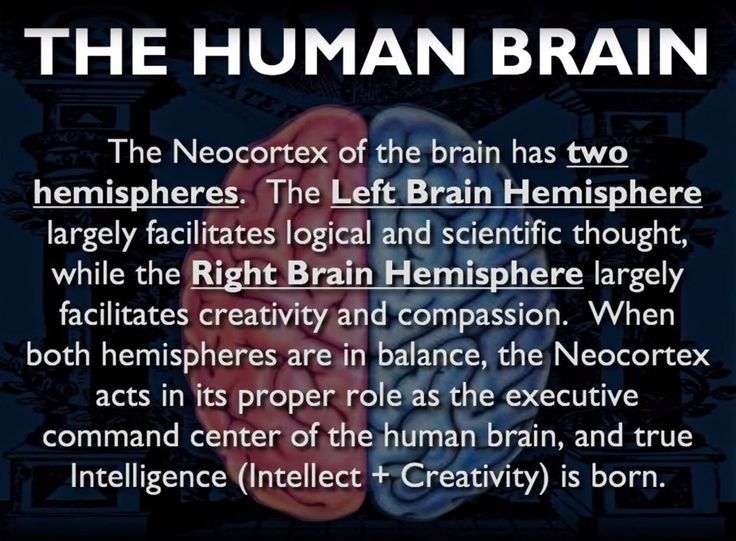 Left Brain Right Brain, Jungian Psychology, Abnormal Psychology, Left Brain, Comfort Words, Brain Anatomy, Planetary Science, African Spirituality, Awakening Quotes