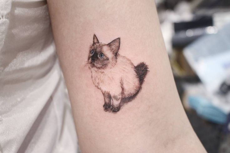 a small cat tattoo on the arm