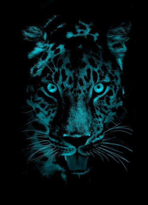 a black and blue photo of a leopard in the dark