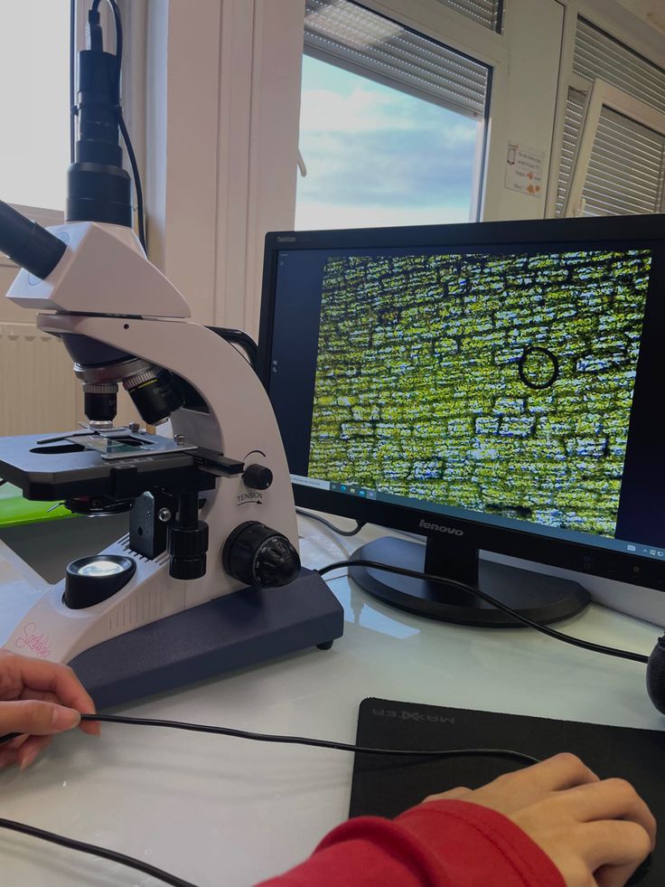 a person looking through a microscope at a computer screen