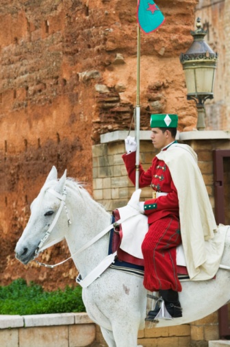 a man in red riding on the back of a white horse