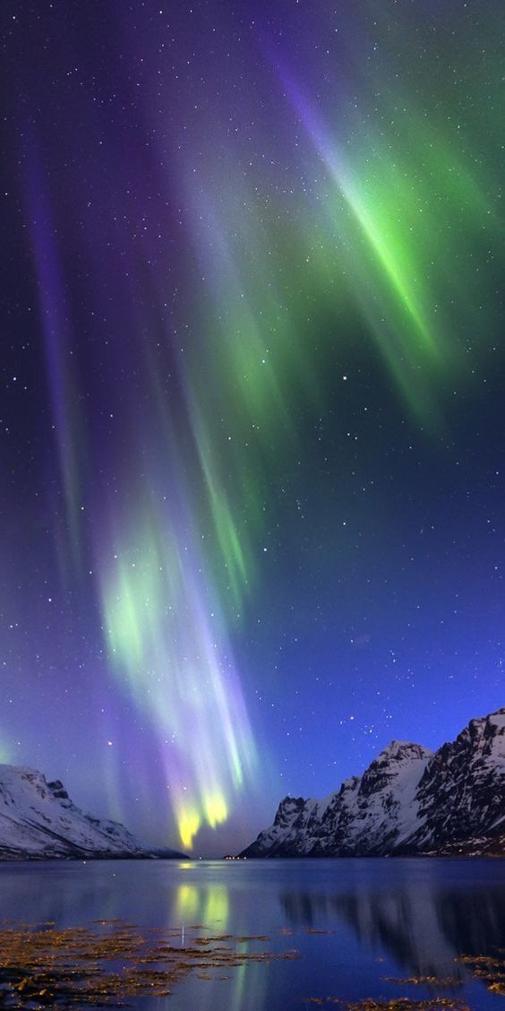 the northern lights shine brightly over water and snow covered mountains