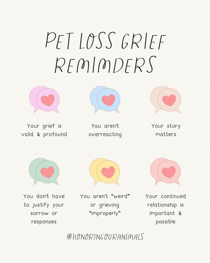 🚨 If you've felt isolated and unsupported in your grief, I'm deeply sorry. You're not alone. 📚 Your feelings are backed by countless studies showing the deep impact pets have on our lives. 🌻 Let's use our shared experiences to build a bridge of empathy and understanding, offering support where it's needed most. Cat Passing Quotes, Griefing Your Pet Quotes Cat, Griefing Your Pet Quotes, Per Memorial Ideas, Coping With Pet Loss Dogs, Griefing Your Dog Quotes, Pet Bereavement Quotes, Griefing Your Dog, Dog Grievance Quotes