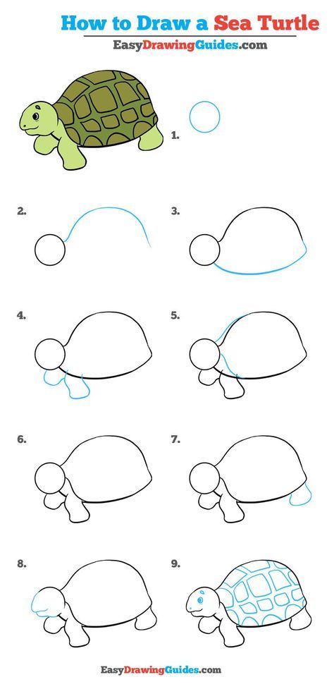 how to draw a sea turtle step by step instructions for kids and beginners with pictures