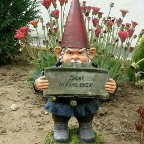 a garden gnome holding a sign with flowers in the background