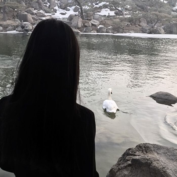 a woman is looking at a swan in the water