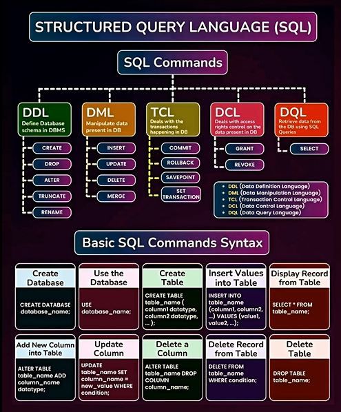 a diagram showing the different types of languages in each language, and how to use them