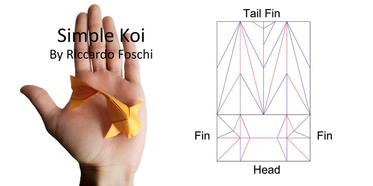 an origami hand is shown with the instructions for how to fold it in