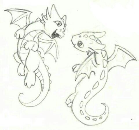 a drawing of two different types of dragon