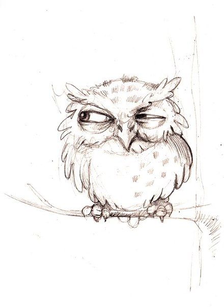 an owl sitting on top of a branch with its eyes open and one eye closed