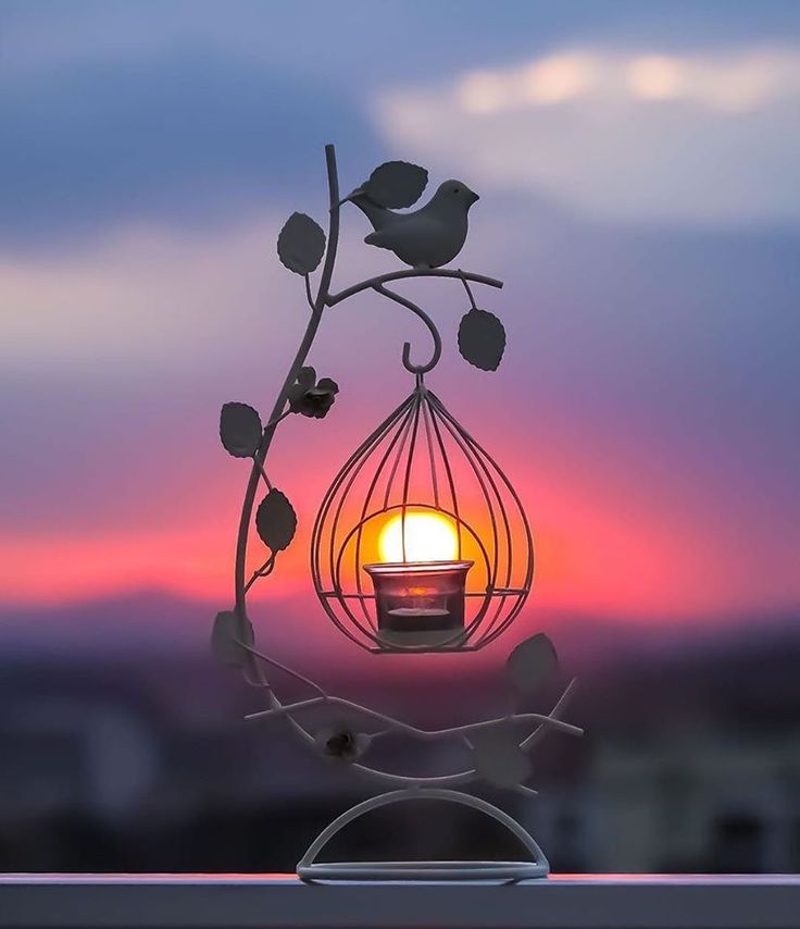 the sun is setting behind a wire sculpture with a bird in it's cage