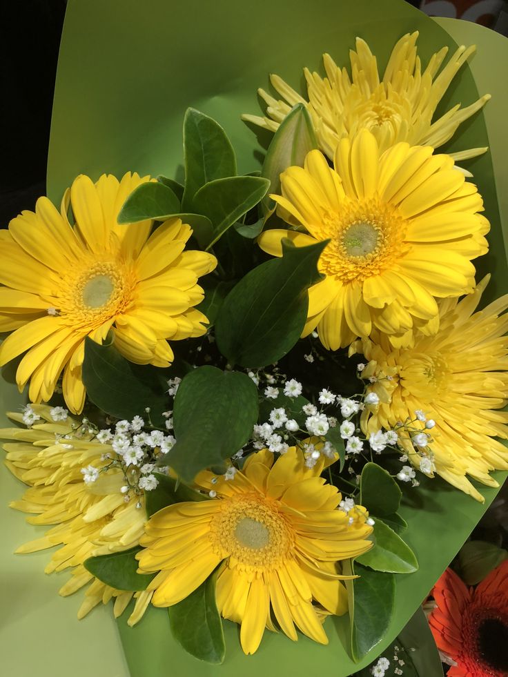 a bouquet of yellow daisies and baby's breath in front of a green background