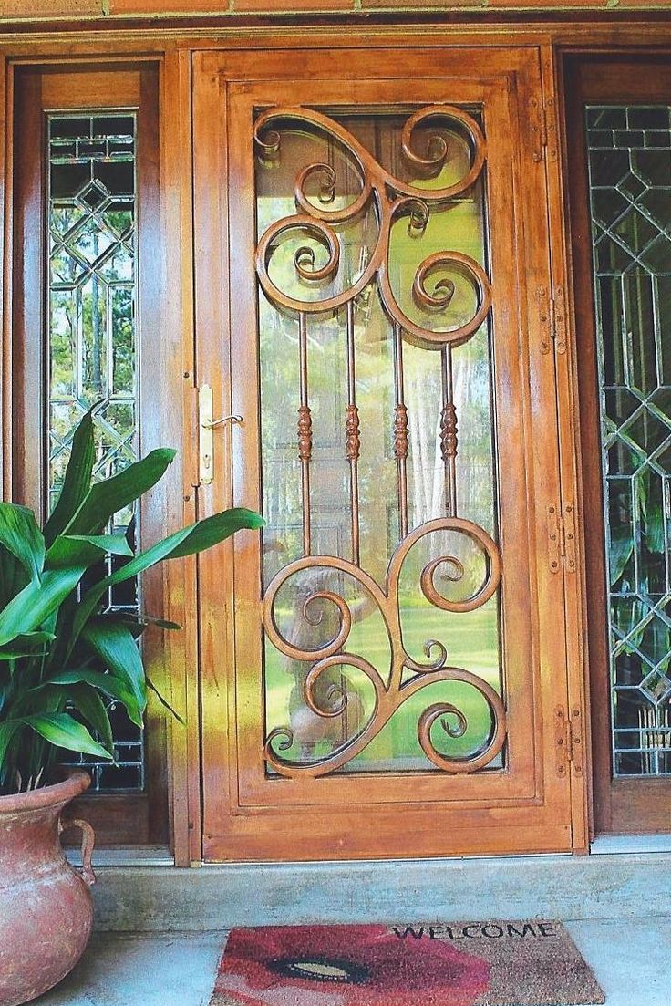 a wooden door with glass panels and a potted plant on the front step next to it