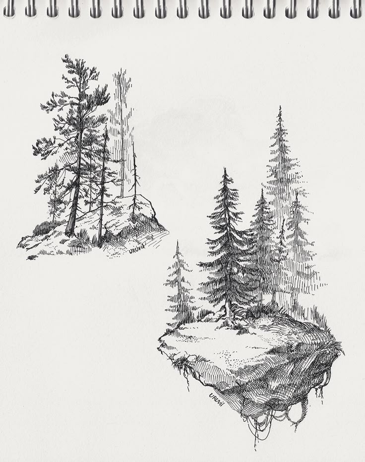 an ink drawing of trees and a small island