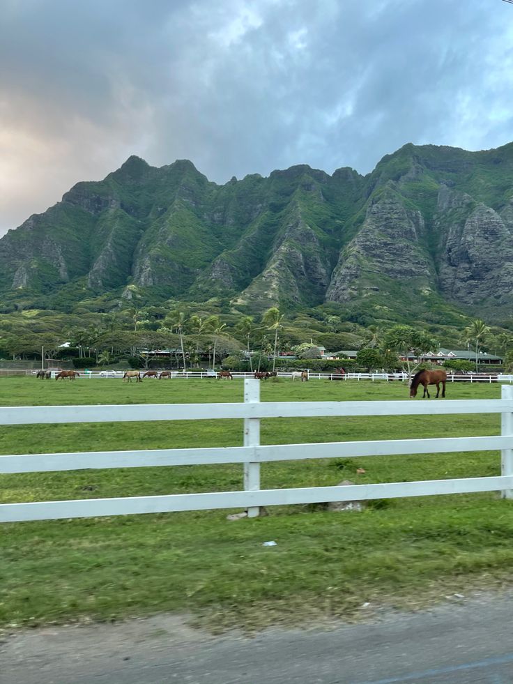 a horse is grazing in the grass behind a white fence with mountains in the background