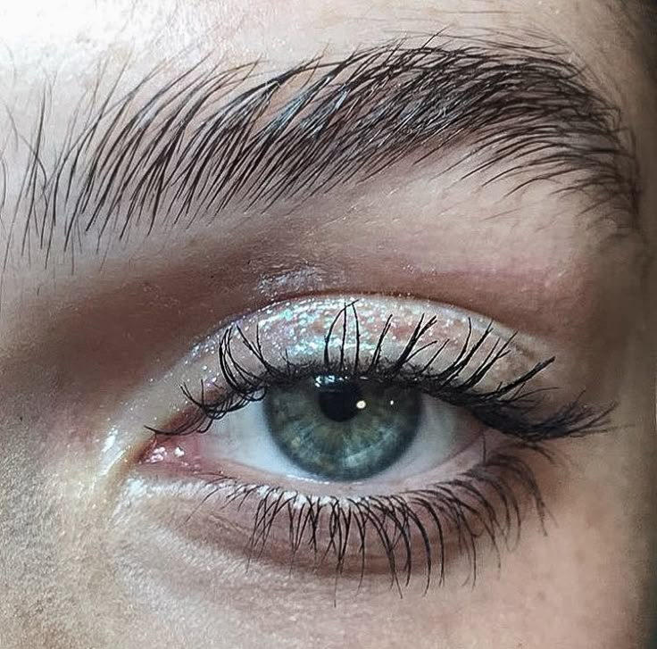 the eye of a person with long lashes and blue eyeshadow, looking straight ahead