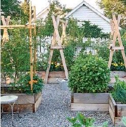 an outdoor garden with various types of plants