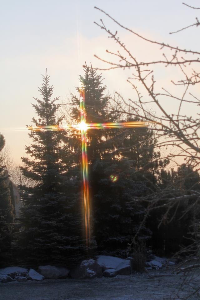 the sun shines brightly in front of some pine trees and snow covered ground with rocks on both sides