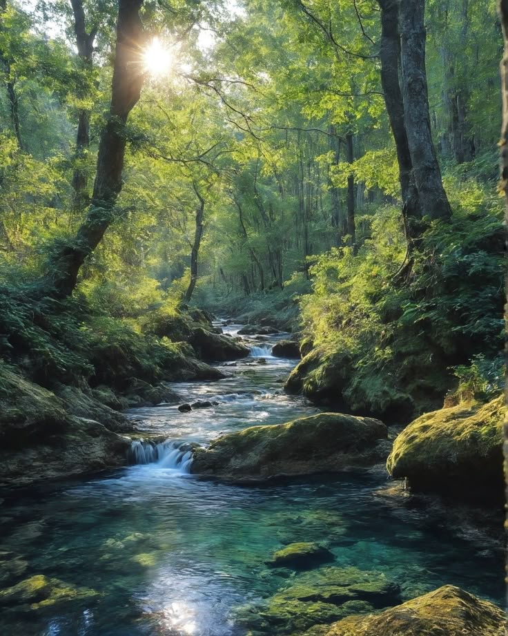 a stream running through a lush green forest