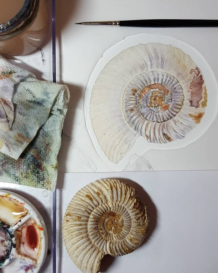 two seashells are sitting on the table next to paint and brushes