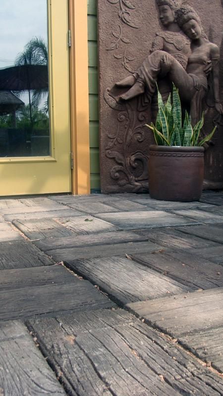 a cat sitting on the ground next to a potted plant in front of a door