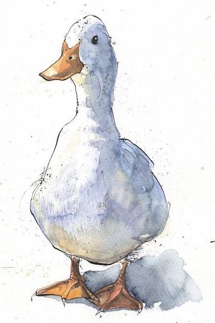 a watercolor painting of a duck sitting on the ground in front of white background