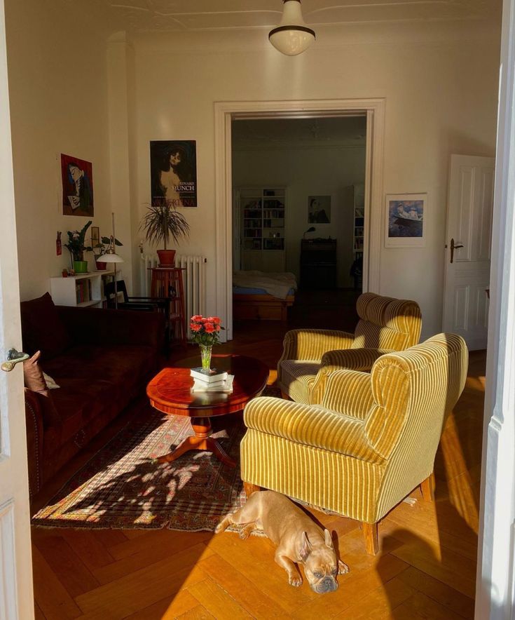 a living room filled with furniture and a dog laying on the floor next to it