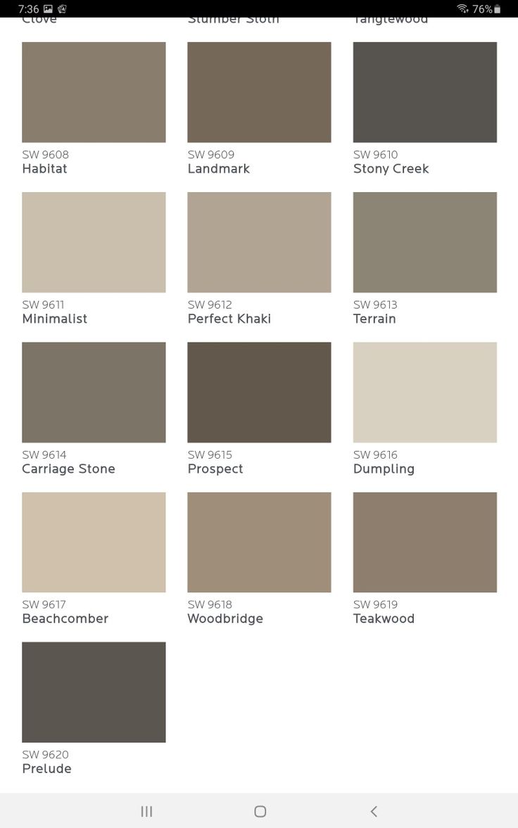 the color chart for different shades of gray and brown, with text that reads neutral