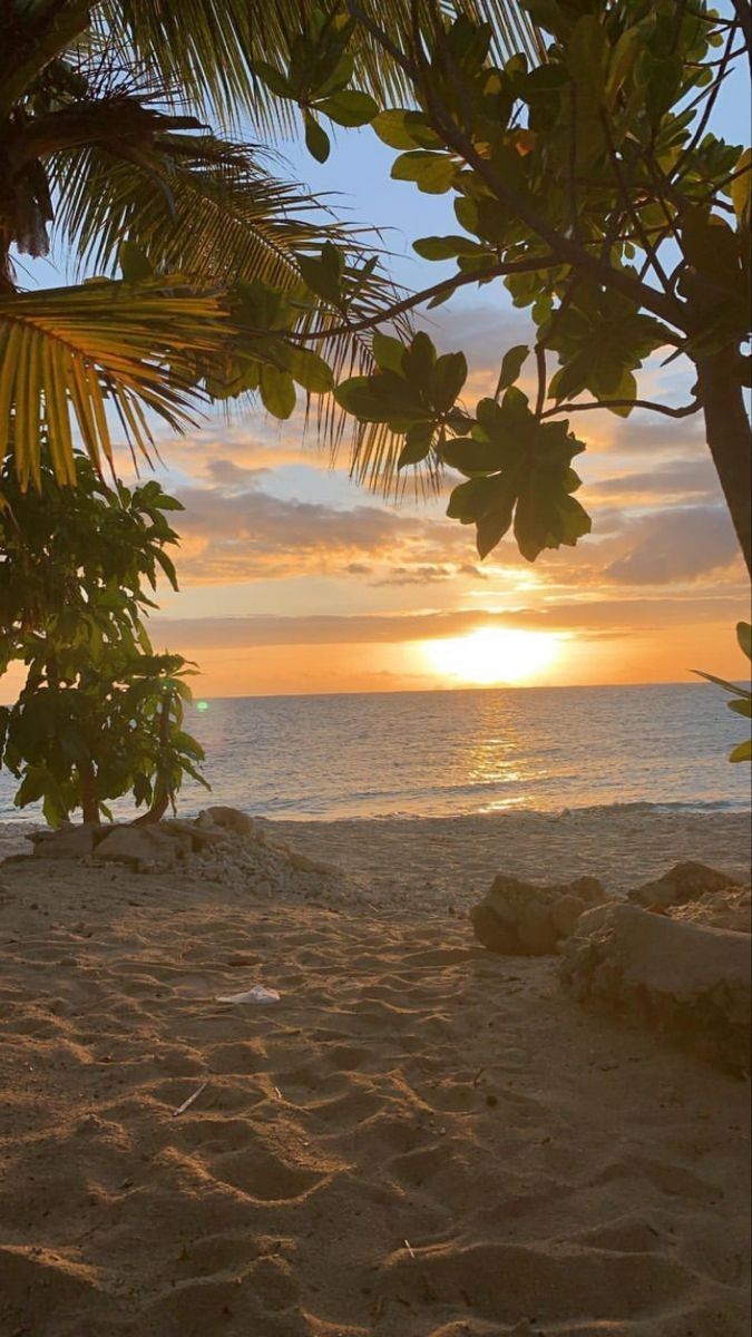 the sun is setting over the ocean with palm trees