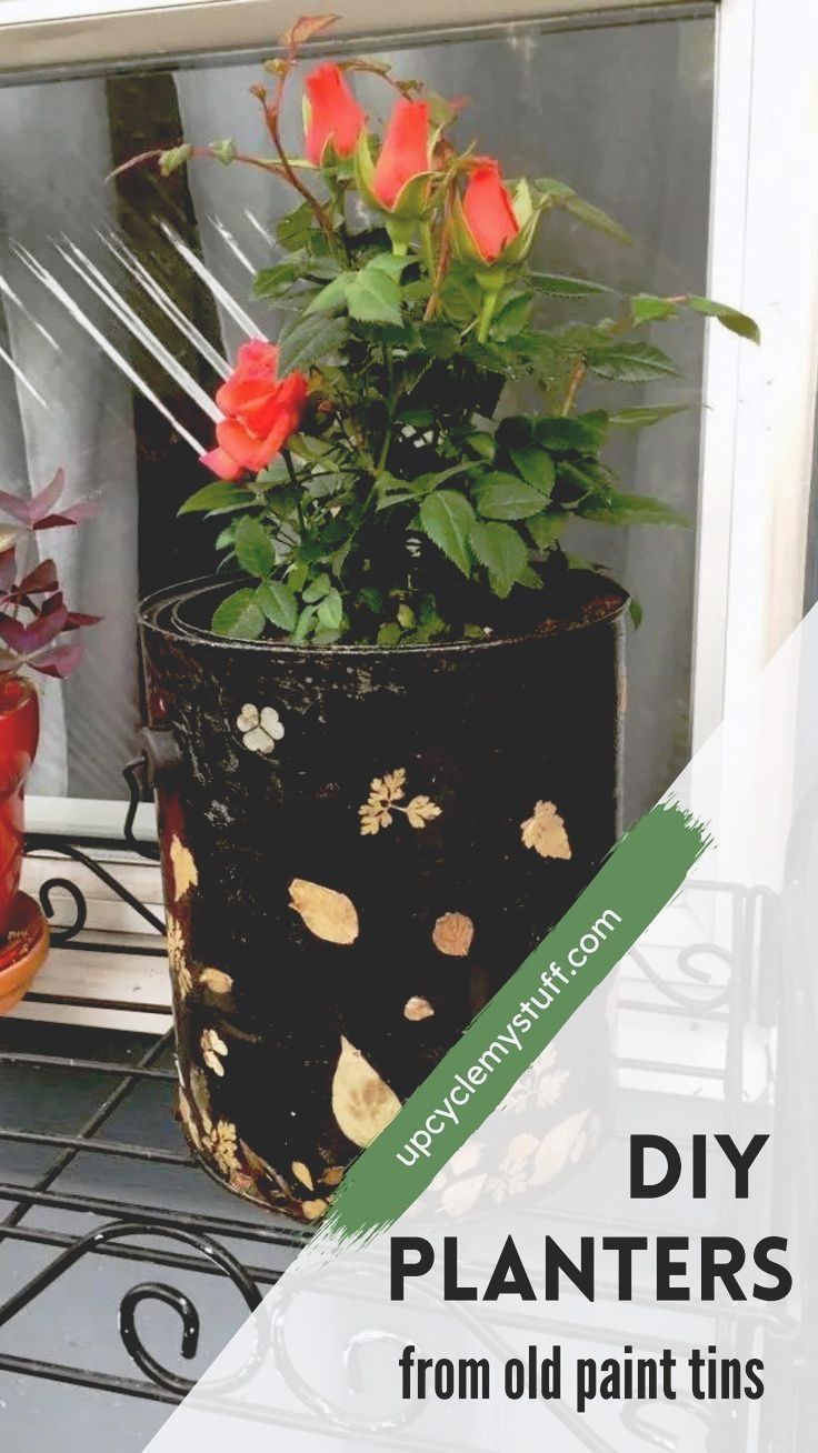 a potted plant sitting on top of a metal rack