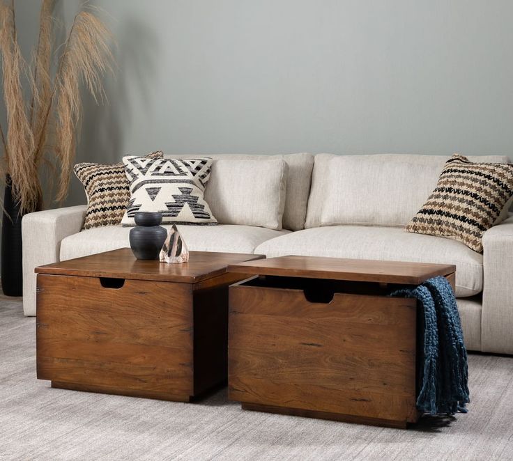 a living room with a couch, coffee table and two storage boxes on the floor