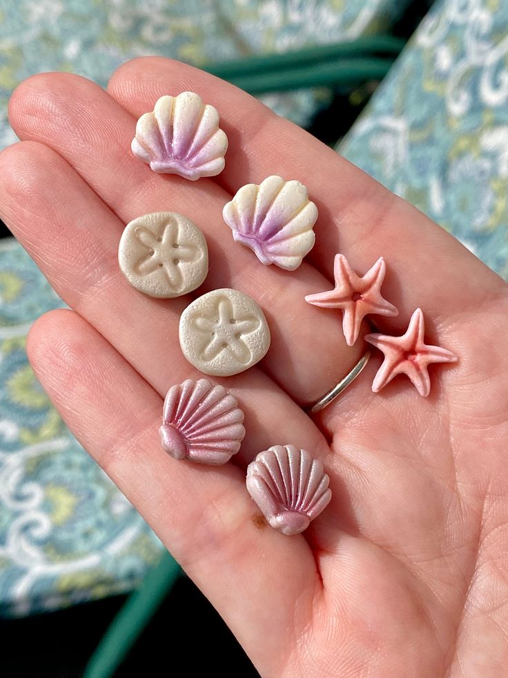 four seashells and starfish on a person's palm