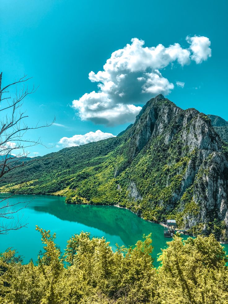 a large body of water surrounded by lush green trees and mountains under a blue sky with white clouds